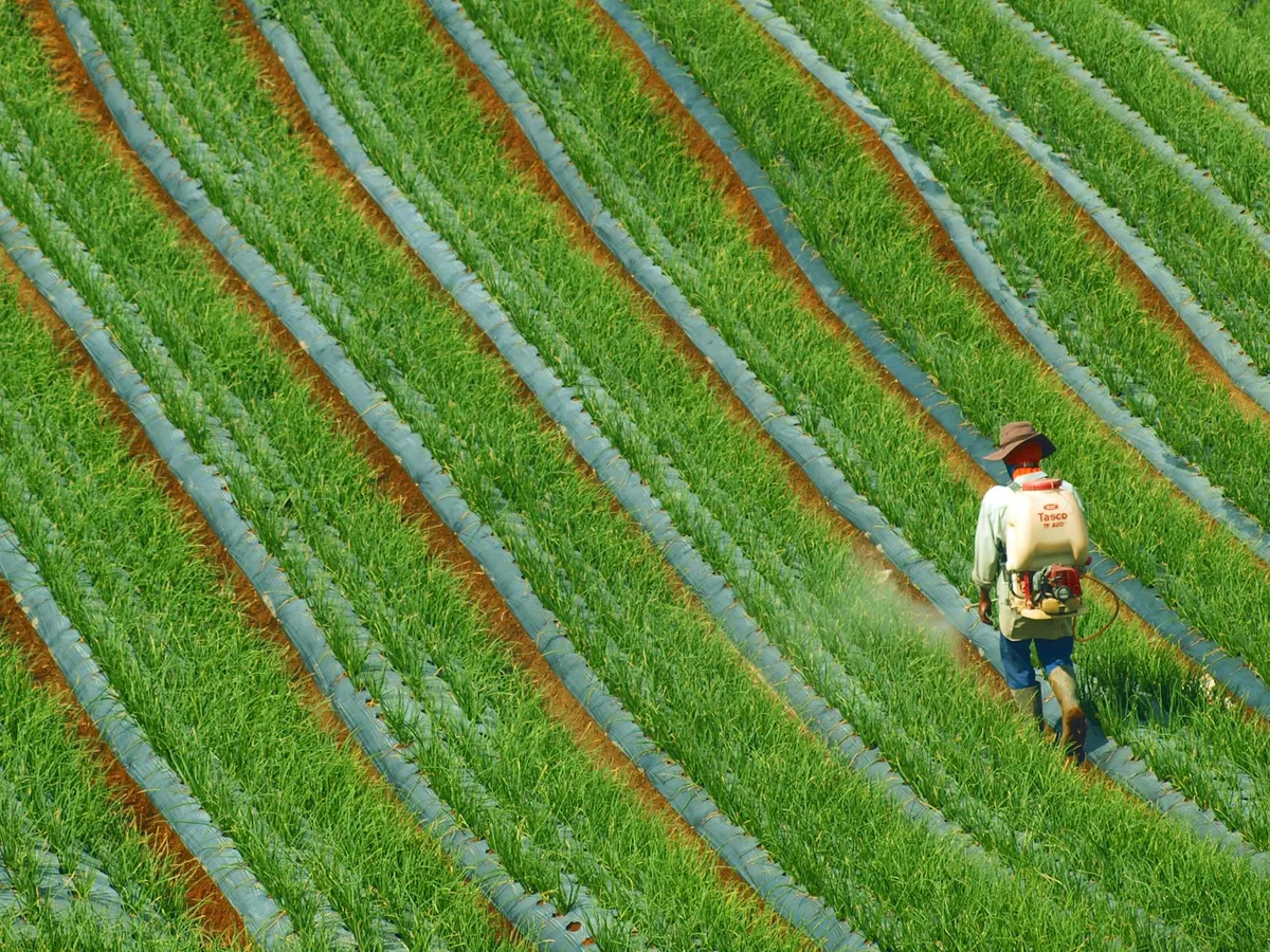 Backpack Sprayer Lawn Care