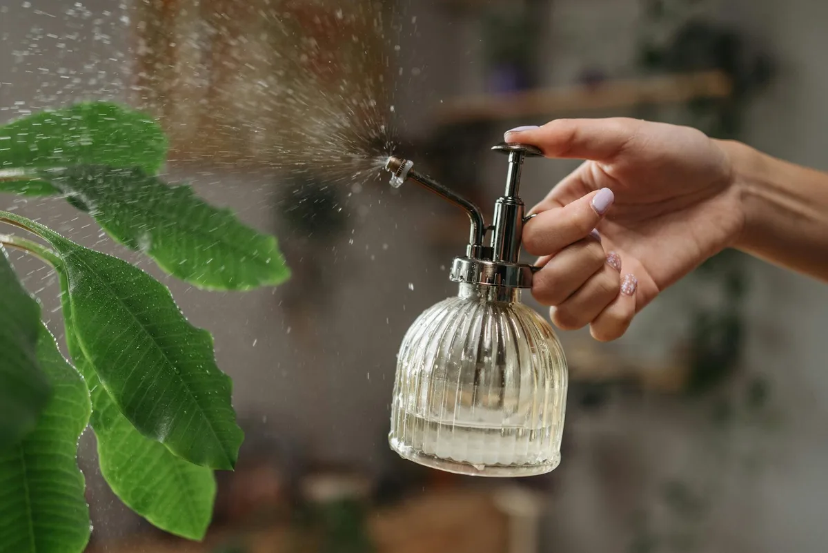 Handheld Garden Sprayer