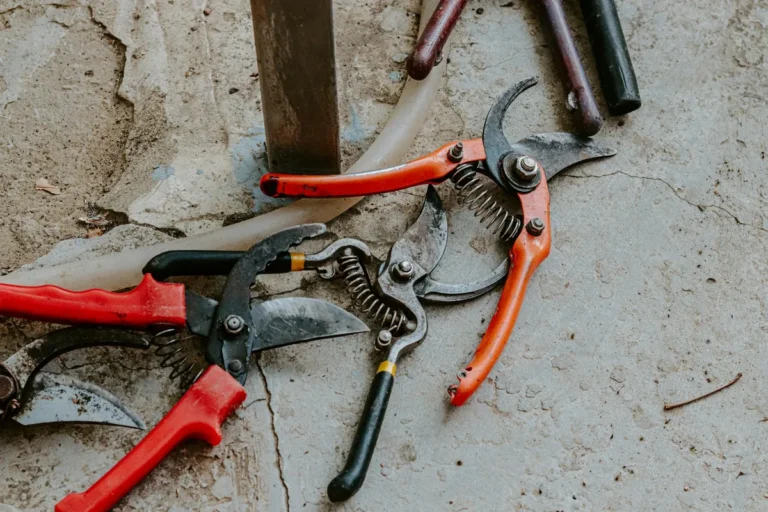 Should You Disinfect Pruning Shears