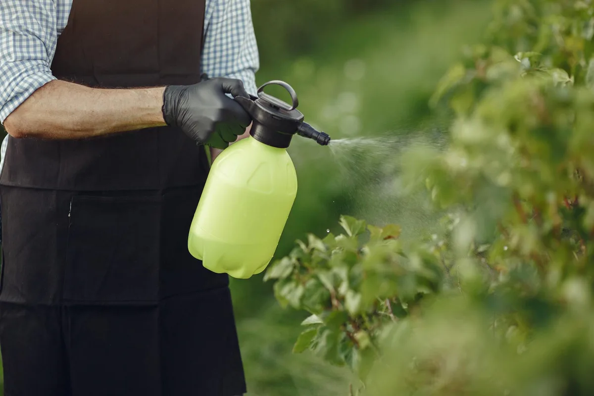 Targeted Pest Treatment