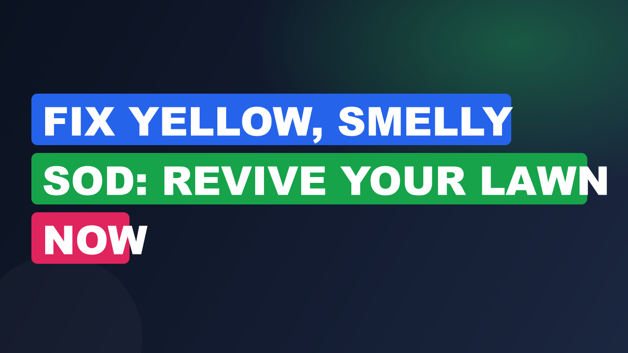 Fix Yellow, Smelly Sod: Revive Your Lawn Now