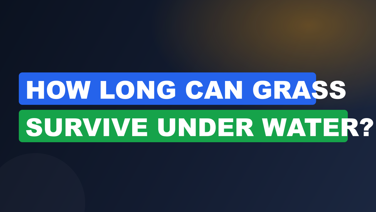 How Long Can Grass Survive Under Water?