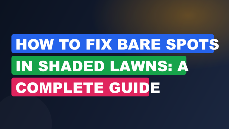 How to Fix Bare Spots in Shaded Lawns: A Complete Guide