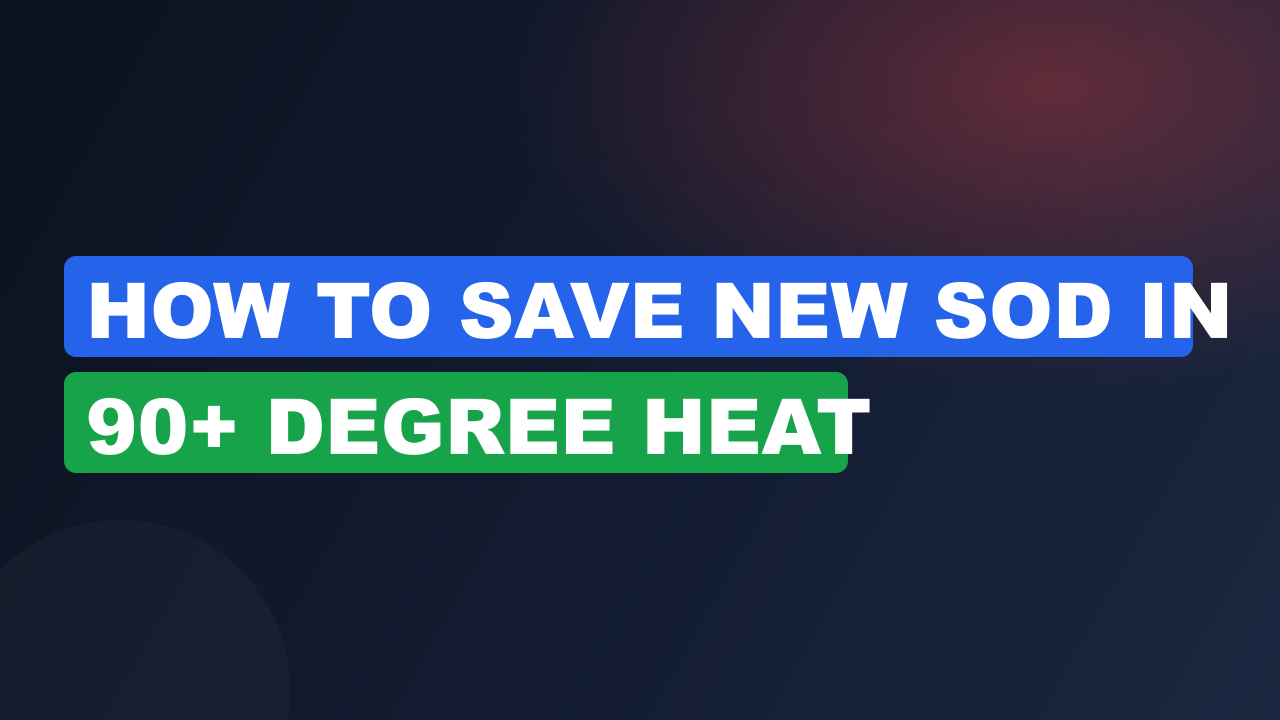 How to Save New Sod in 90+ Degree Heat